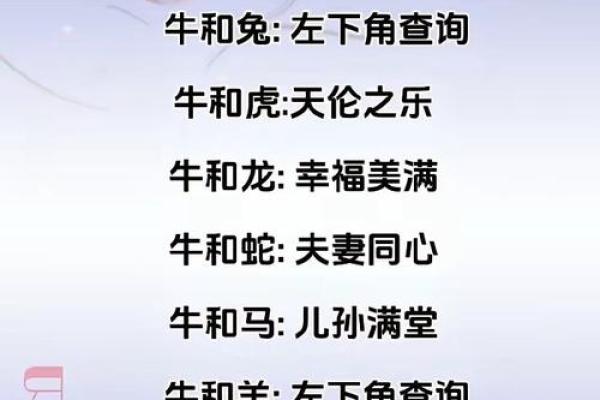 2024年金牛座全年运势详解财运爱情与事业全面解析 2024年金牛座全年运势详解财运爱情与事业全面解析