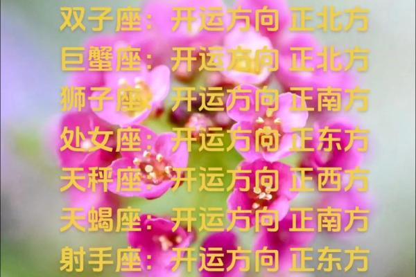 十二星座的运势2025 十二星座的运势是什么 十二星座的运势2025 十二星座的运势是什么