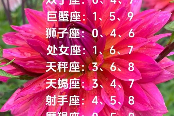 白羊星座今日运势查询一星座屋_白羊座今日运势第一星座程 白羊星座今日运势查询一星座屋_白羊座今日运势第一星座程