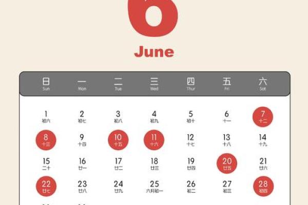 搬家的好日子2025(搬家的好日子2024年)