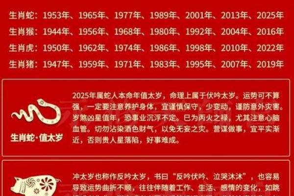 2025属蛇_2025蛇年运势全解析腊月开运指南属蛇人必看