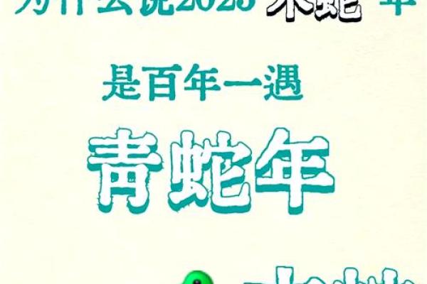 属蛇人2025年运势完整版 属蛇人2025乙巳年运势全年每月运程完整解析