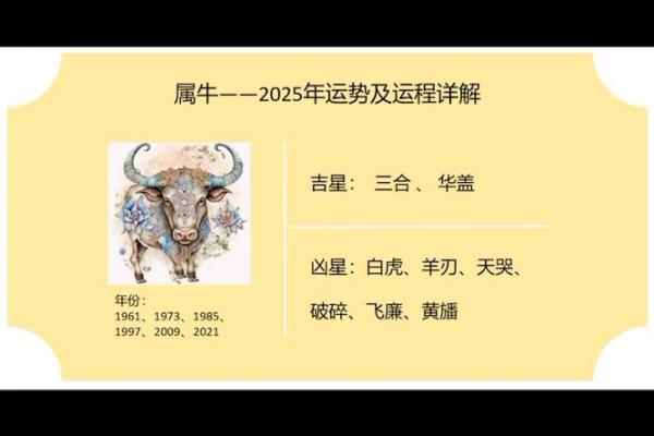属龙的金牛座2025年运势_属龙的金牛座2025年运势及运程 属龙的金牛座2025年运势_属龙的金牛座2025年运势及运程