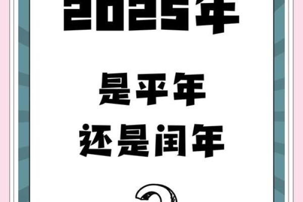 2025年蛇年有384天 2025蛇年历法揭秘跨13个月竟有384天玄机