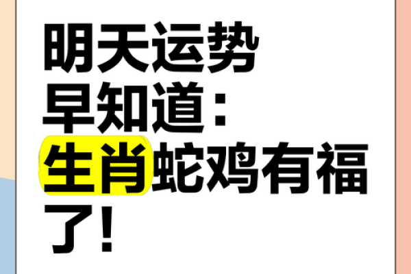属鸡人2025年蛇年全年运势 2025蛇年属鸡人全年运程详解月度运势完整指南 属鸡人2025年蛇年全年运势 2025蛇年属鸡人全年运程详解月度运势完整指南
