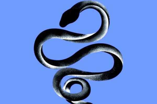 2001年属蛇人2025蛇年运势详解逐月运程全指南