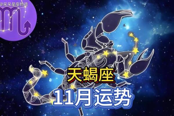 天蝎座运势星座屋_天蝎座2023年运势解析星座屋独家预测