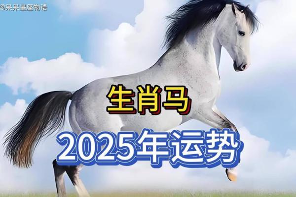 属马女2025运势及运程详解_1978年属马女在2025年的命运如何 属马女2025运势及运程详解_1978年属马女在2025年的命运如何