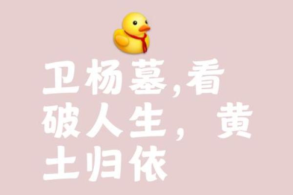 其貌不扬打一生肖(其貌不扬打一生肖最佳答案)