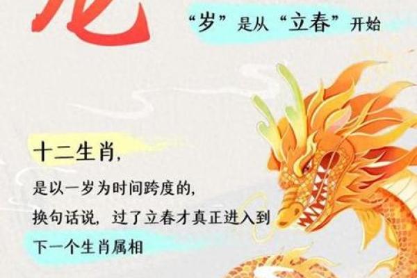 2025年属龙的多少岁 2025年属龙人年龄对照表各出生年份及月份岁数解析 2025年属龙的多少岁 2025年属龙人年龄对照表各出生年份及月份岁数解析