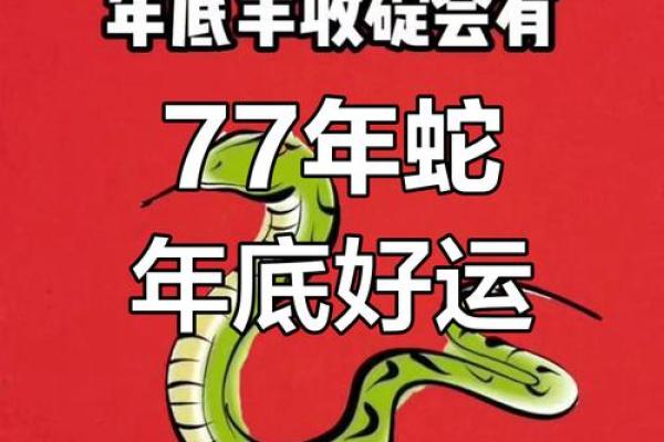 77年属蛇男2025年全年运势详解逐月运程大解析 77年属蛇男2025年全年运势详解逐月运程大解析