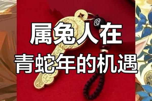2025年属兔人全年运势 2025年属兔人全年运势怎么样 2025年属兔人全年运势 2025年属兔人全年运势怎么样