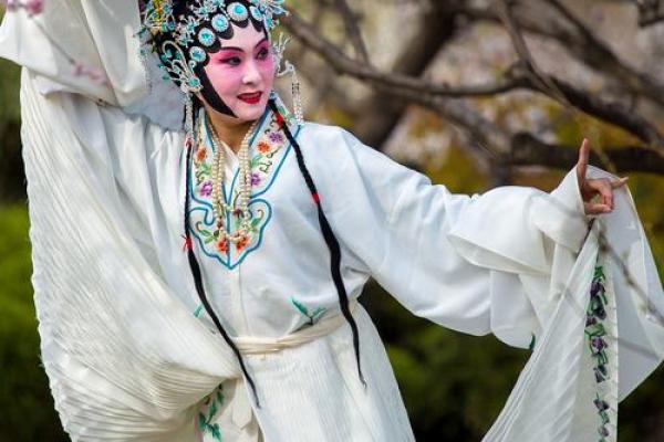 青衣乌帽指什么生肖(青衣小帽什么意思)