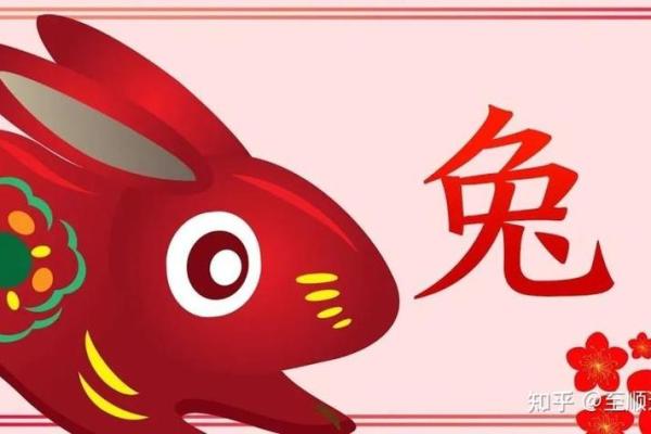 63年属兔人2023年运势解析财运事业感情全揭秘 63年属兔人2023年运势解析财运事业感情全揭秘