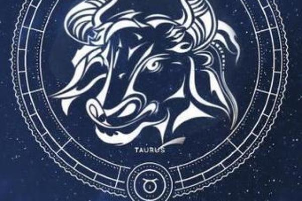 金牛座6月运势_金牛座6月运势事业