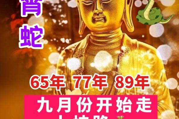 1952年属龙寿终_1952年属龙寿终是哪年