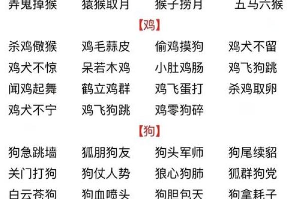 独来独往的动物是什么生肖(独来独往的形容什么生肖) 独来独往的动物是什么生肖(独来独往的形容什么生肖)