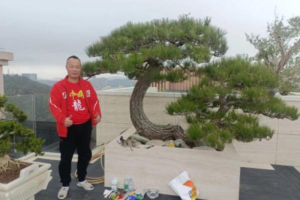 属龙人2024全年运势详解_2024属龙人全年运势解析逐月运程吉凶及转运指南 属龙人2024全年运势详解_2024属龙人全年运势解析逐月运程吉凶及转运指南