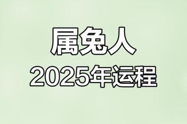 属兔2025运势_属兔2025运势及运程每月运程卜易居
