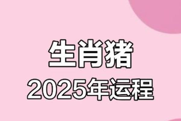 1971属猪女2025年 1971属猪女2025年每月的运气