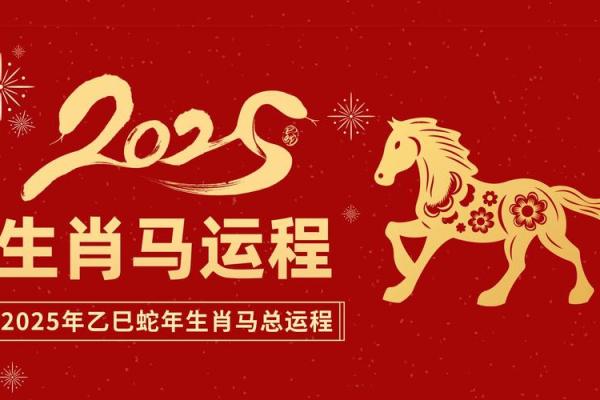 属马的2025年多大了 2025年属马人多大了年龄对照表与运势全解析 属马的2025年多大了 2025年属马人多大了年龄对照表与运势全解析