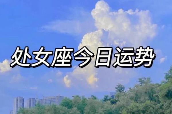 处女座后天的运势 处女座后天运势查询 处女座后天的运势 处女座后天运势查询