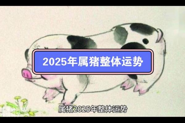 1971年属猪2025年最有福气_1971年属猪2025年运势大爆发福气满满迎好运