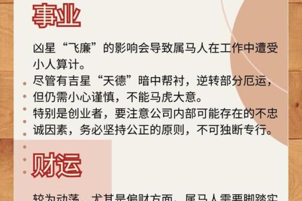 2025属马的佩戴什么最旺_属马人2025年全年运势详解 2025属马的佩戴什么最旺_属马人2025年全年运势详解