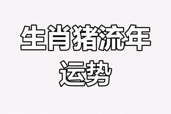 1971年2024年属猪人的全年运势_1971年猪人2022年运势