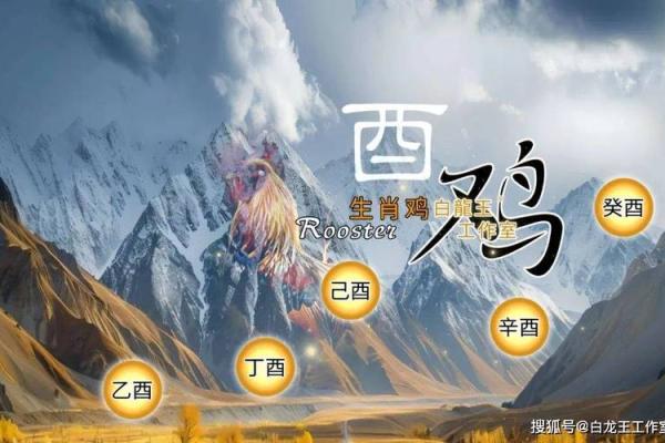 1969年属鸡2025年运势及运程_1969年属鸡2025年运势解析运程详解与吉凶预测