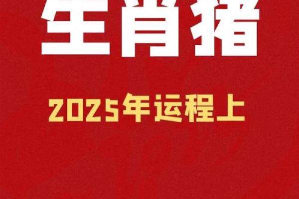 属猪的2025年几岁_属猪的2025年运势怎么样