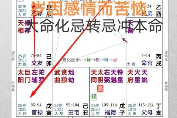 大限太阳化忌_大限太阳化忌命理解析与应对策略 大限太阳化忌_大限太阳化忌命理解析与应对策略