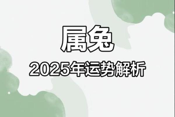 2025年属兔的幸运颜色衣服_2025属兔大忌颜色