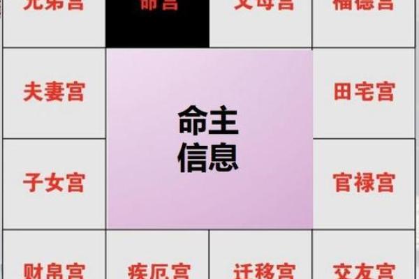 夫妻宫化权入子女宫_夫妻宫化权入子女宫配偶出轨吗