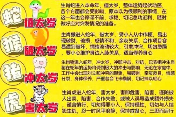 属羊2025年的全年运势_1979年属羊2025年的全年运势