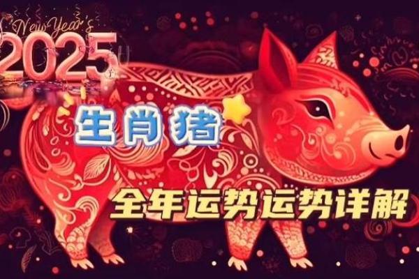 2025年属猪人全年运势解析2007年出生者运程详解