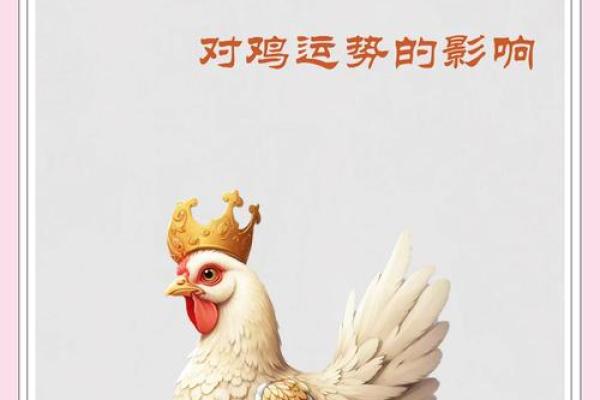 2005年属鸡女2025年运势 2005年属鸡女2025年运势详解事业财运与感情走向