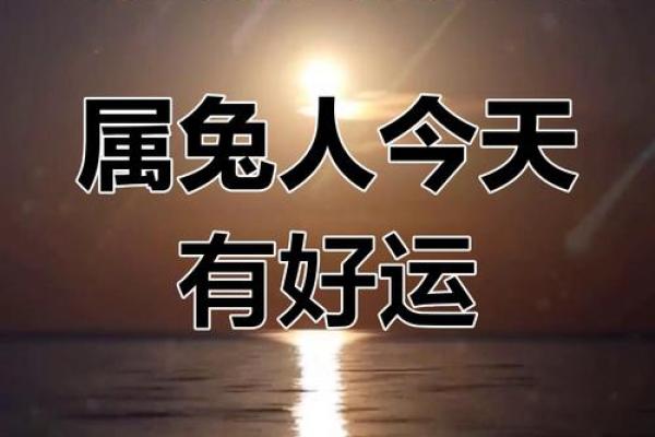属兔2024年的运势及运程每月运气_2024年属兔每月运势详解全年运程大揭秘