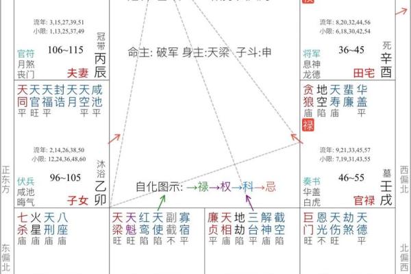 2025年3月25日丑时女命紫微斗数全解盘 2025年3月25日丑时女命紫微斗数全解盘