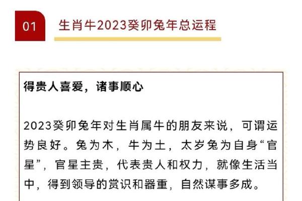 兔年运程2025_2025兔年运程详解运势预测与开运指南