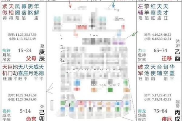 2025年2月27日卯时男命紫微斗数全解盘