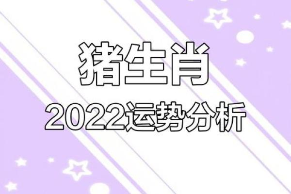 2025年95猪运势详解财运事业爱情全面解析 2025年95猪运势详解财运事业爱情全面解析