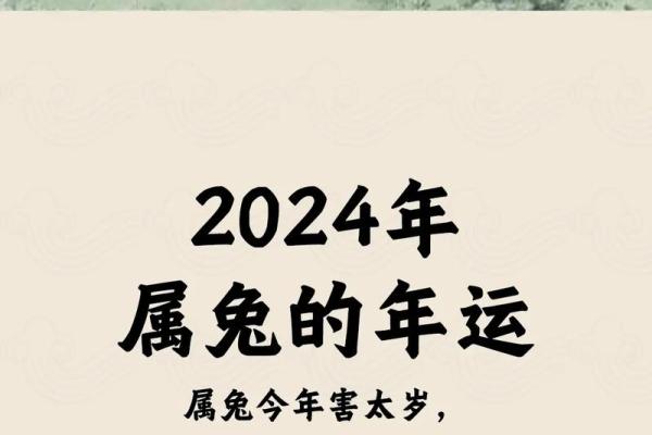 1987年属兔2025年财运解析运势如何 1987年属兔2025年财运解析运势如何