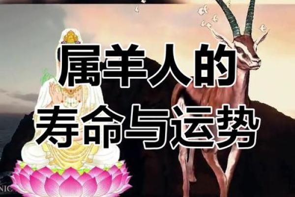 1967年2025年属羊人的全年运势 1967年属羊人2025年全年运势解析 1967年2025年属羊人的全年运势 1967年属羊人2025年全年运势解析