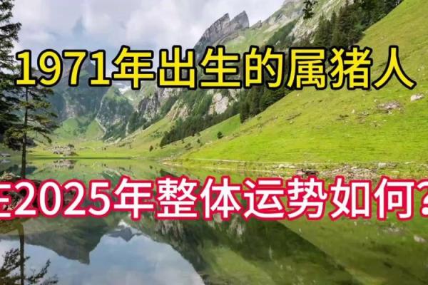 属猪2025年运势及运程1983年出生_1983年属猪人2025年运势详解财运事业感情全解析 属猪2025年运势及运程1983年出生_1983年属猪人2025年运势详解财运事业感情全解析
