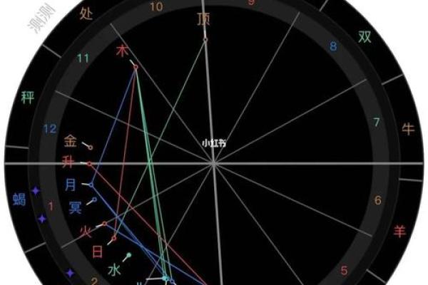 2025年3月2日丑时女命紫微斗数全解盘