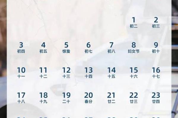 2025年2月15日丑时女命紫微斗数全解盘