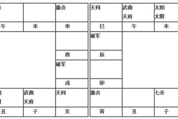 2025年2月23日丑时男命紫微斗数全解盘