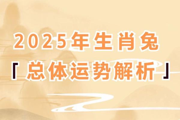 2025年生肖兔 2025年生肖兔适合什么颜色 2025年生肖兔 2025年生肖兔适合什么颜色