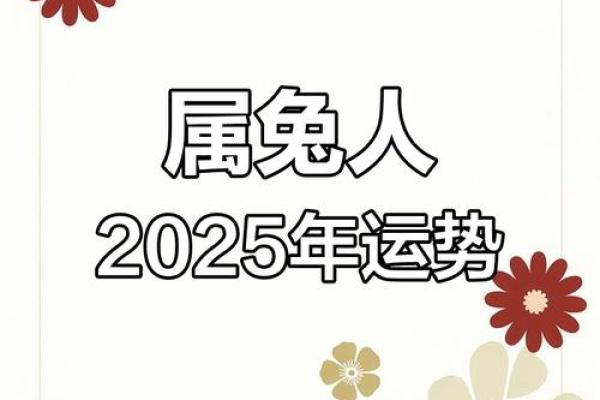 2025属兔幸运色 2025属兔幸运色揭秘提升运势的最佳选择 2025属兔幸运色 2025属兔幸运色揭秘提升运势的最佳选择